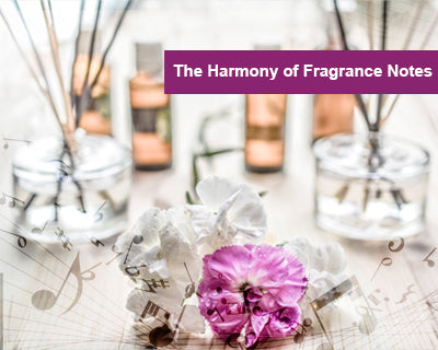 The Harmony of Fragrance Notes