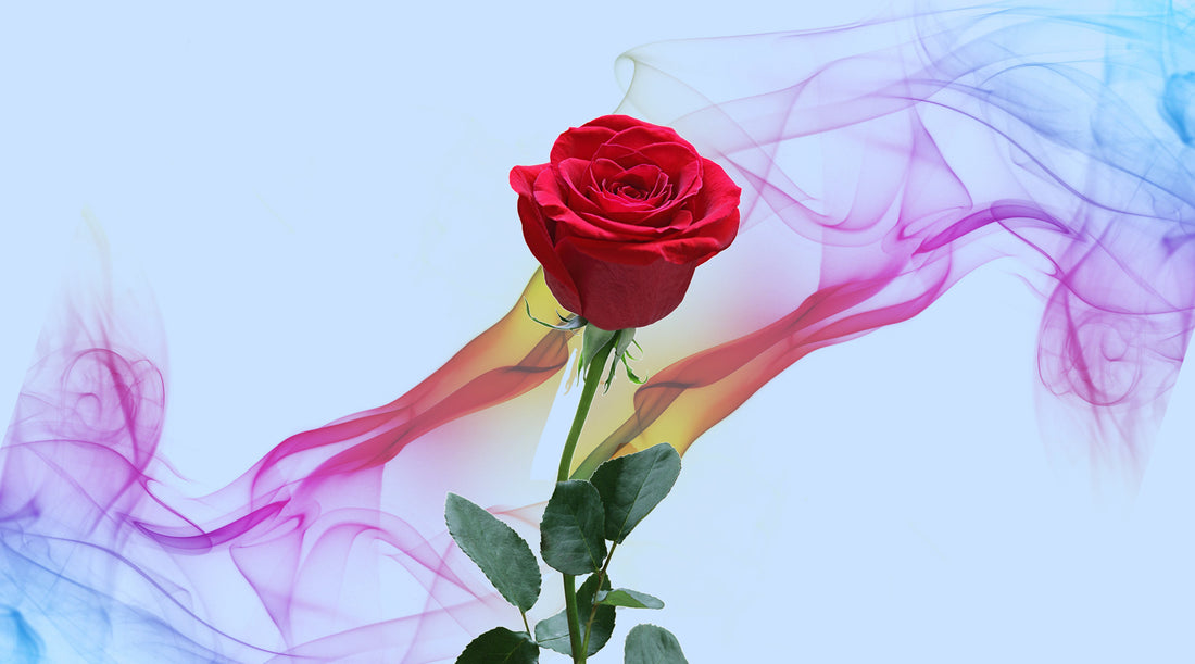5 mindblowing facts that prove how your sense of smell is much more important than you think