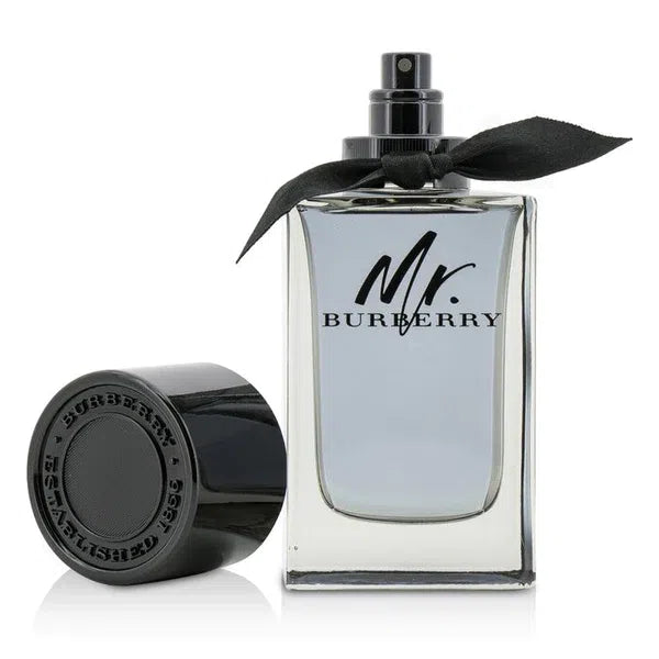 Mr burberry best sale 100ml price